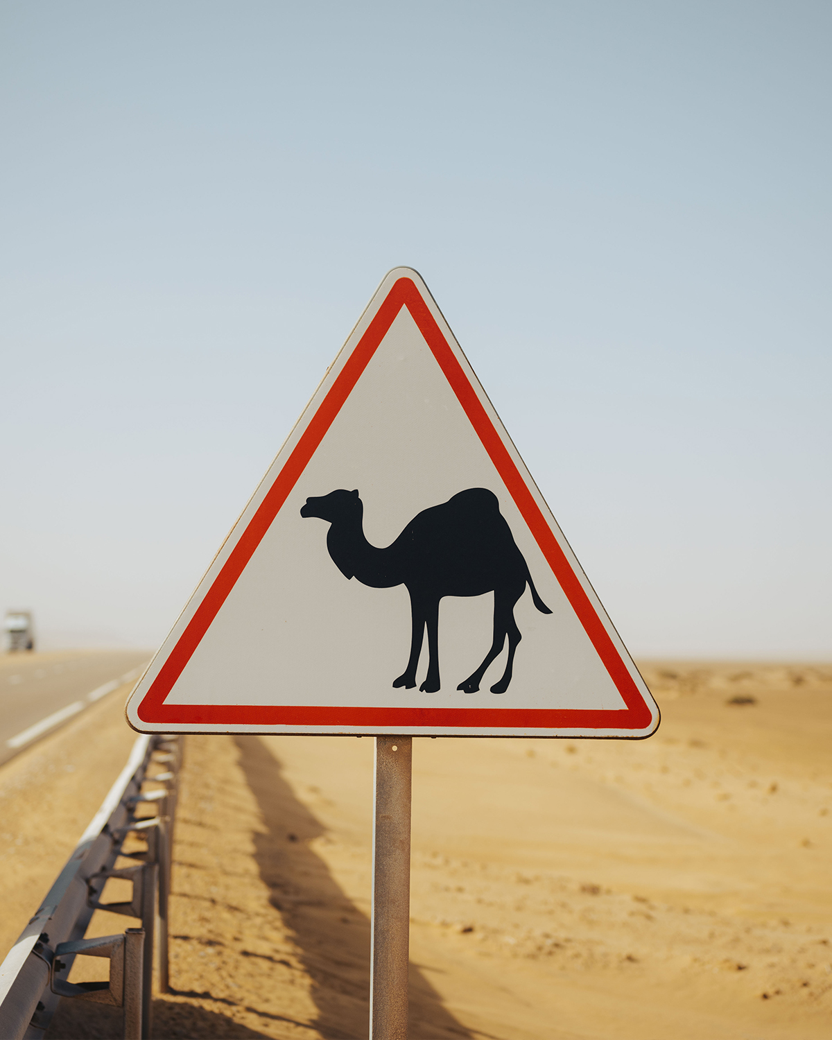 Camel Sign