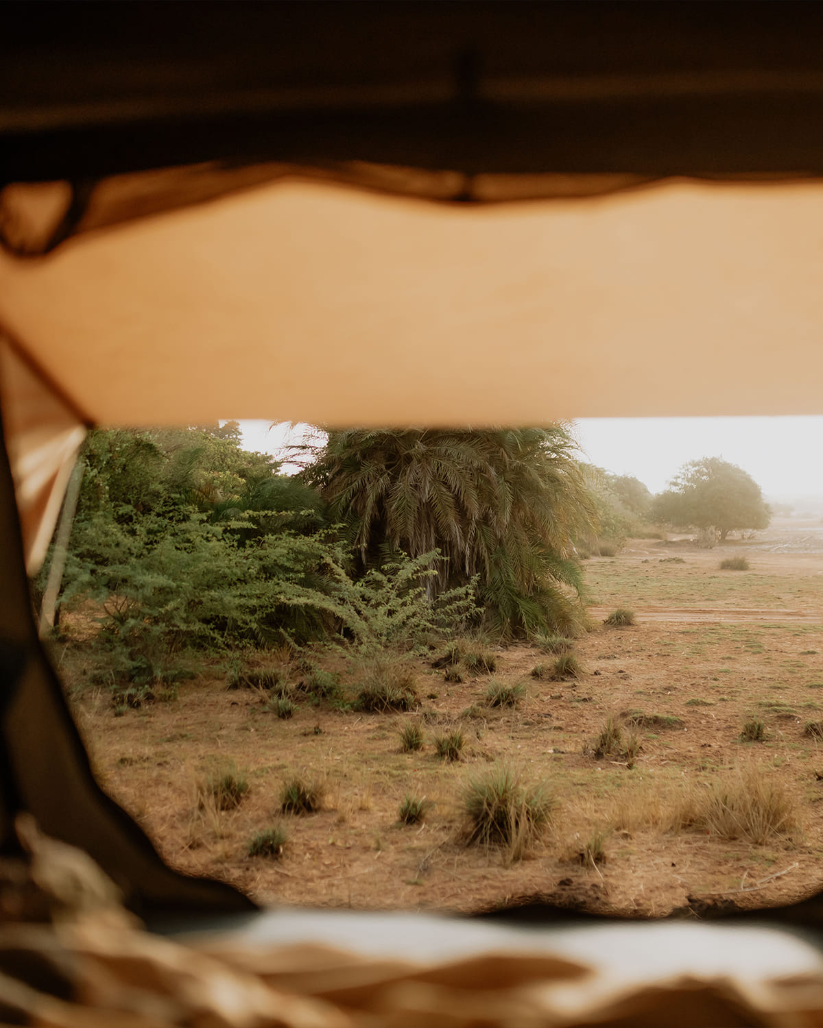 Tent views