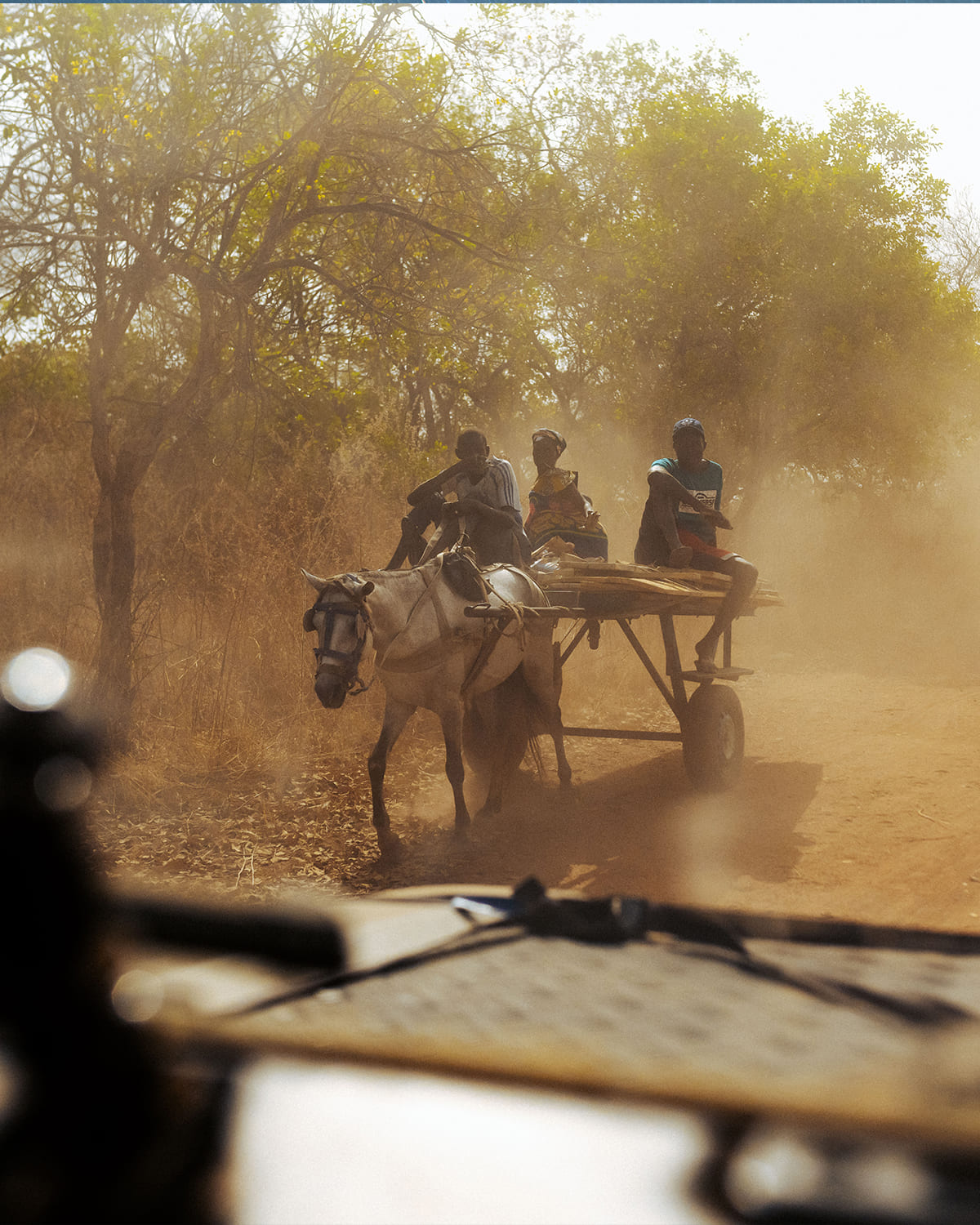 Senegal cart