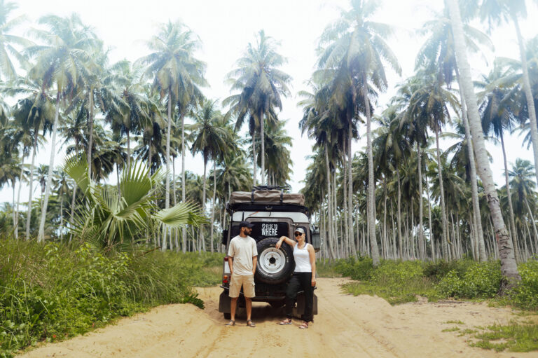 Coconut Forest – Ivory Coast